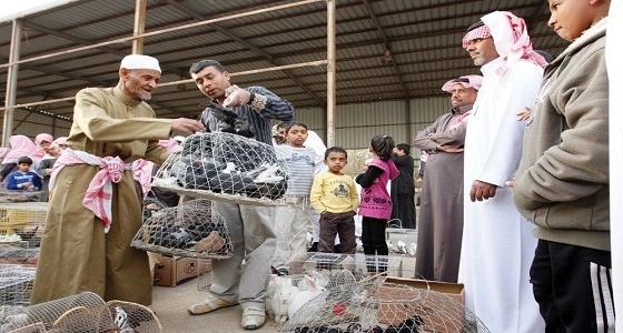 بالفيديو.. رصد إصابات بفيروس إنفلونزا الطيور في سوق العزيزية بالرياض