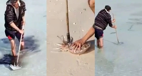 بالفيديو.. ضبط مليون و200 ألف جهاز كهربائي غير مطابق للمواصفات