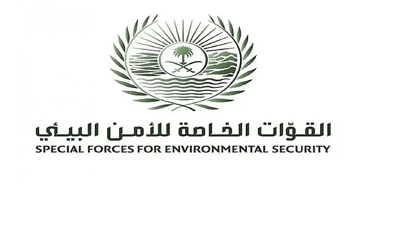 القوات الخاصة للأمن البيئي تضبط مخالفًا لنظام البيئة لاستخدامه حطبًا محليًا في أنشطة تجارية