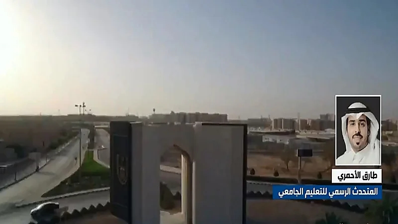 بالفيديو.. عامل يرش مبيد حشري على الخضروات والفاكهة