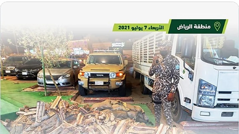 القوات الخاصة للأمن البيئي تضبط مخالفين لنظام البيئة لبيعهم حطبًا محليًا لأغراض تجارية
