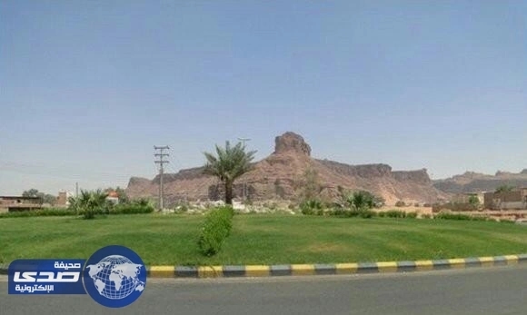 تعليم العلا يوضح حقيقة تعليق الدراسة