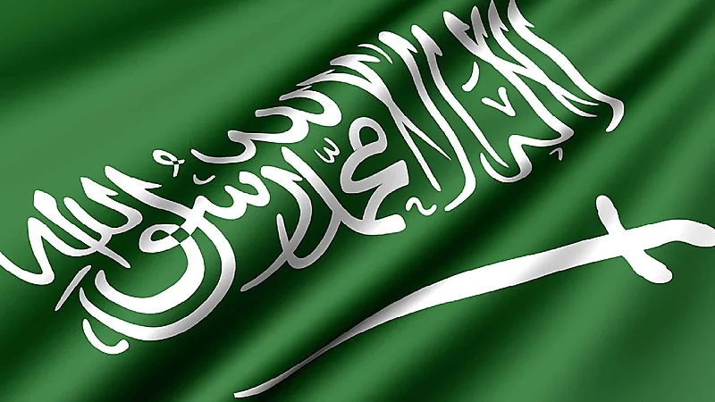 النيابة العامة: لا يجوز تنكيس العلم الوطني