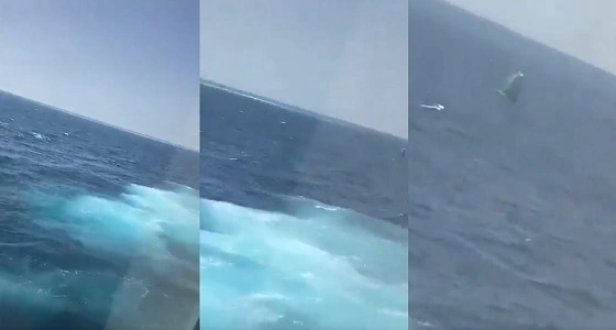بالفيديو.. قارب نزهة بحرية يتعرض للغرق.. وطاقم " فرسان " يتوقف لإنقاذه