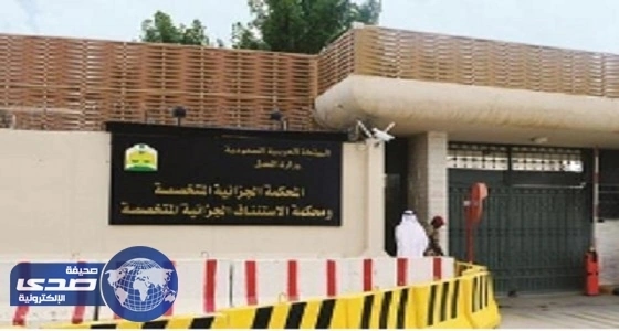 محاكمة عناصر خلية " منفذ الوديعة " اليوم