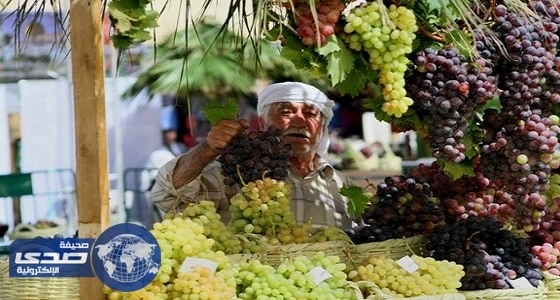 مركز بني سعد يستضيف مهرجان العنب الثاني.. غداً