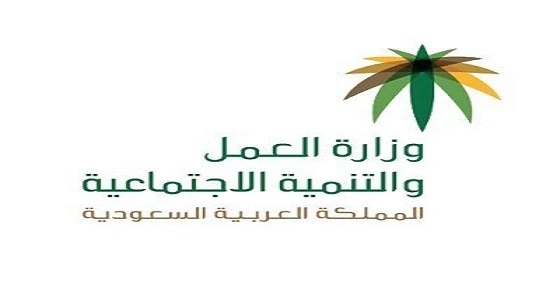أعضاء الشورى: العمل لم تحل مشكلة البطالة بشكل جدي