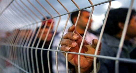 في فلسطين فقط.. الأسرى ينجبون الأطفال بعمليات التهريب