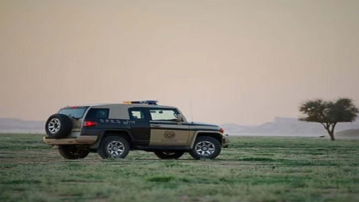 bfe9cde7-2670-48d2-8cee-8b4ce12dab02.jpg