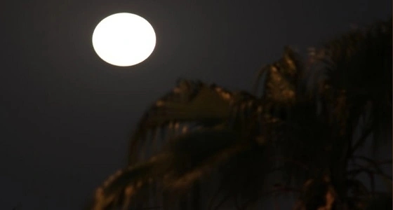 شاهد.. البدر العملاق يزين سماء جدة