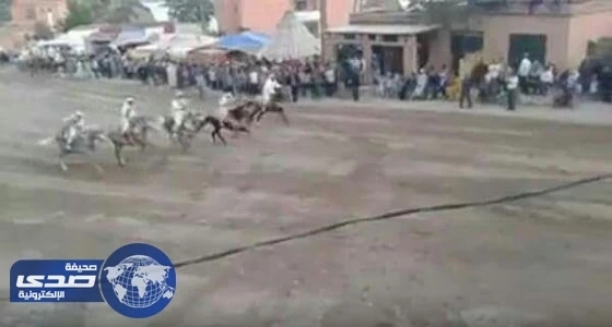 بالفيديو ...لحظة دهس سيدة في سباق خيل بالمغرب