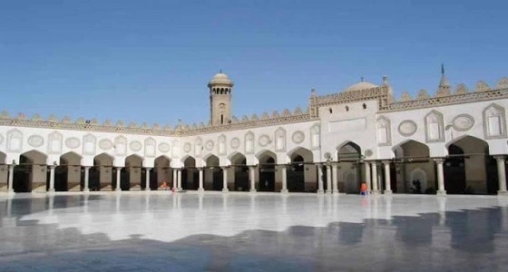الأزهر: لا صحة عن وجود نية لحذف تونس من قائمة الدول الإسلامية