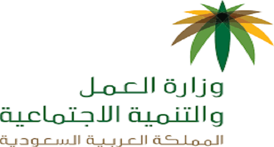 وكالة التوطين في " العمل والتنمية الاجتماعية " تدخل في شراكات وتعاون مع 18 جهة حكومية