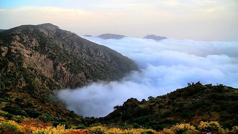 بالفيديو.. "الزعاق" يوضح سبب تسمية جبل "السودة" بهذا الاسم