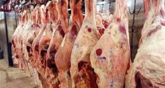 ضبط 21 كيلو من اللحوم الفاسدة بـ " بقعاء "