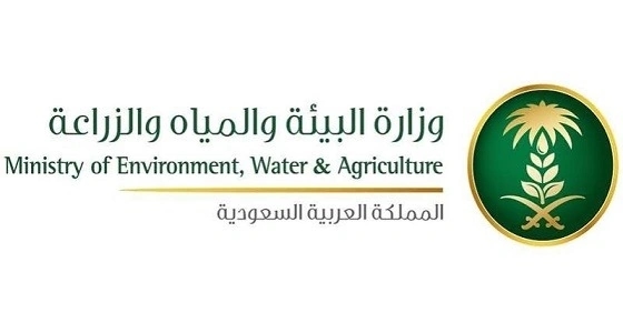 غدا.. " البيئة " تبدأ عمليات الرش الجوي للمستنقعات بالمدينة المنورة