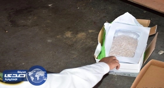 جمرك ضباء يُحبط محاولة تهريب حبوب الكبتاجون