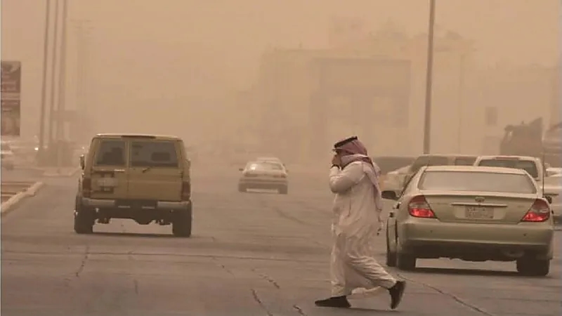 هل الغبار مفيد صحيًا؟.."النمر" يجيب