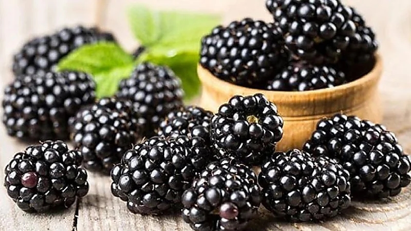 6 أطعمة تساعد في السيطرة على الألم