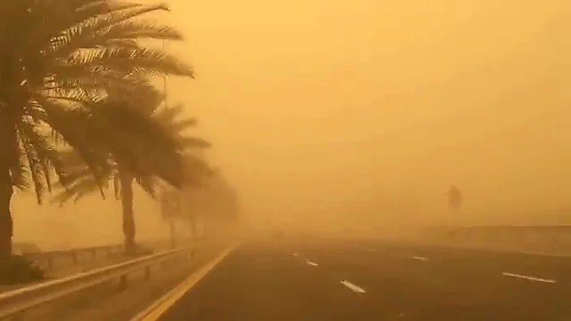 دراسة تكشف خطورة " المشي " في الهواء الطلق على الصحة