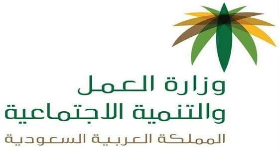 العمل :  برنامج استقدام العمالة المنزلية اختصر مدة إصدار التأشيرات إلى يوم واحد إلكترونياً