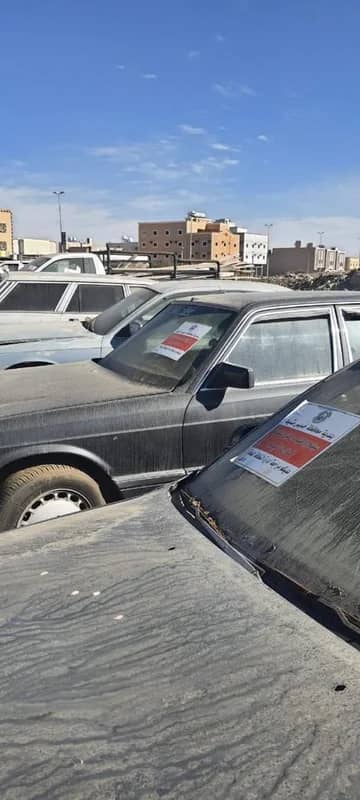 شاهد.. لحظة القبض على مشجع رياضي احتفل بفوز فريقه بالسوبر بإطلاق النار