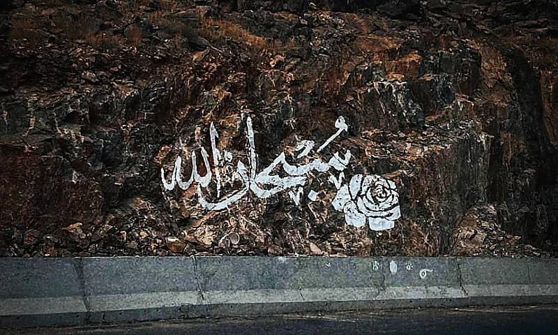 بالصور.. ضبط قائد مركبة تسبب في دهس أحد المشاة بحي الربوة