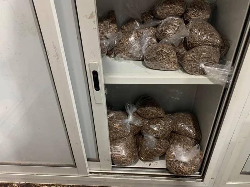 شاهد.. زارا البلوشي تكشف عن شرط زوجها للخروج معها في الأماكن العامة