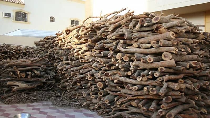 بالفيديو .. الأسمري: 90% من الحطب المستورد في المملكة عالي الجودة