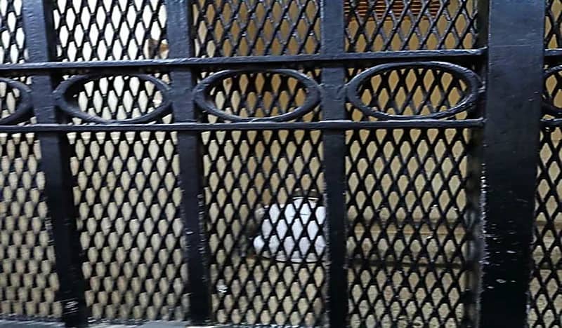 الإعدام شنقا لـ"سفاح الجيزة" بتهمة قتل صديقه ودفنه