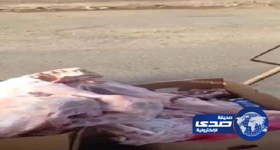 أمانة المدينة توقف سائقاً عن العمل لدهسه براميل بويات على الطريق