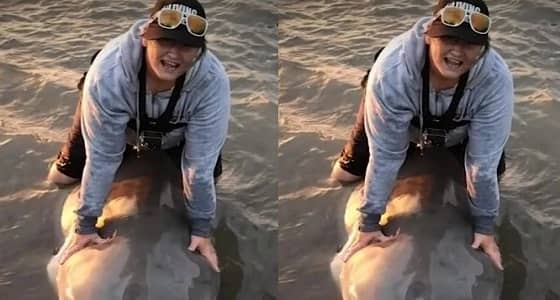 بالفيديو.. موقف غريب لسيدة مع سمكة قرش