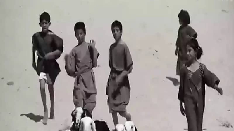 بالفيديو .. قصة المثل الدارج "إن جاك ولد سمه موضي"