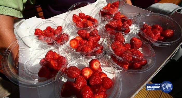 تحذير أمريكي من «الفراولة المصرية».. وهيئة الغذاء تتحقق