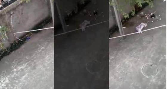 بالفيديو.. طالبة تلقي بطفلها حديث الولادة من النافذة