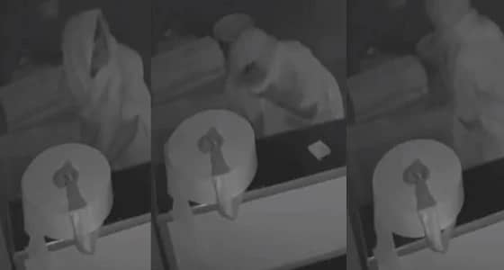 بالفيديو.. كاميرات المراقبة توثق سرقة لص مبلغ مالي من مطعم أسماك بالقنفذة