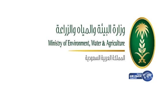 مصدر : تحديد أسعار المواشي ليس سهلا .. وإنخفاض الأسعار لم يتجاوز 30%