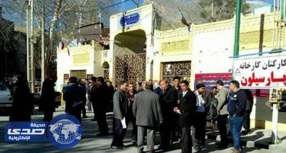 بالفيديو.. معلومات هامة عن نسب البروتين والدهون باللحوم