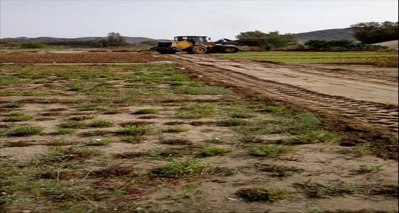 الشهراني: ذكرى البيعة الثالثة تتزامن مع أكبر ميزانية للمملكة