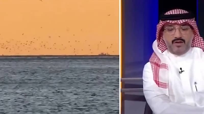 الناظري يكشف عن أبرز الأنواع البحرية المحظور صيدها بالمملكة .. فيديو