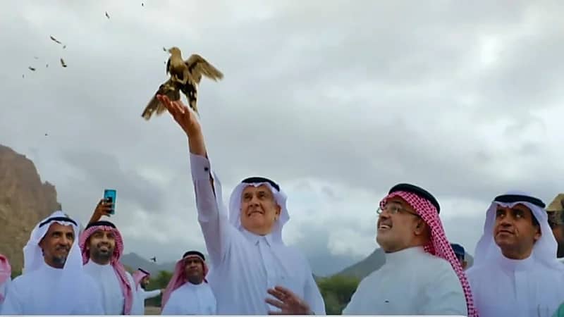 بالفيديو.. "الحياة الفطرية": أطلقنا نسورا مهددة بالانقراض