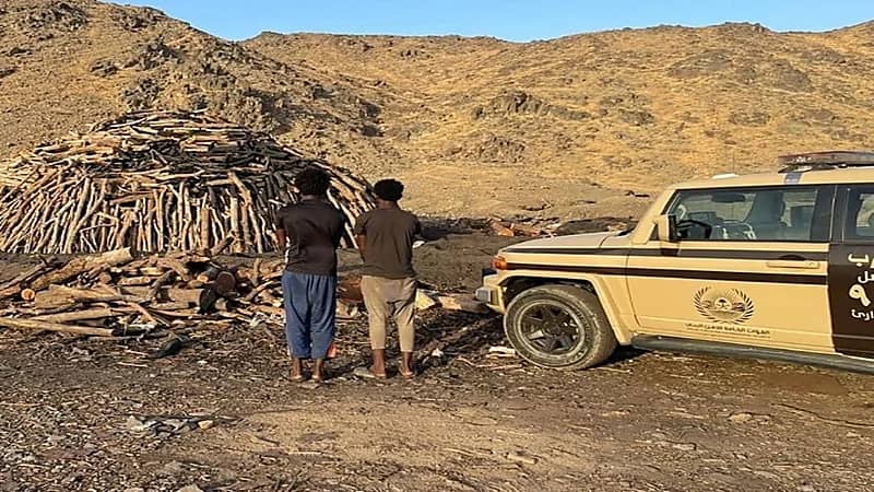 ضبط مخالفين لقطعهما الأشـجار وتخزين الحطب المحلي في مكة المكرمة