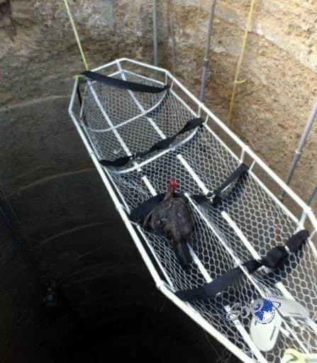 مغربية ترفع دعوى قضائية ضد ابن عم أمير قطر