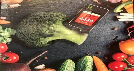 أجهزة حديثة للكشف عن مستوى الإشعاع في خضراوات " أبوعريش "