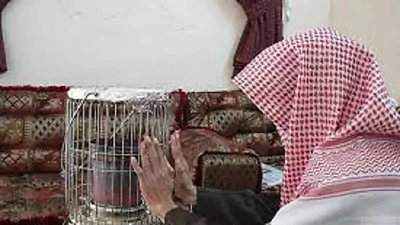 حسن كراني: "تمتعوا بالدفئ البرد قادم"