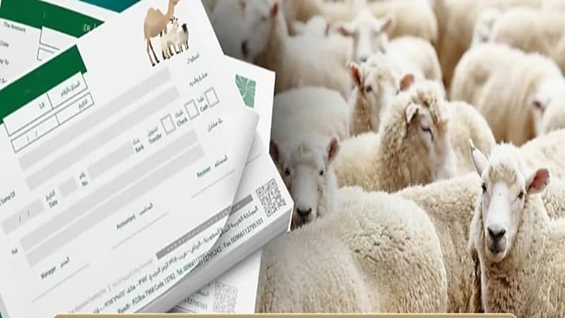 "النيابة العامة": انتهاك تعليمات بيع سندات الهدي والأضاحي تؤدي للمُساءلة الجزائية