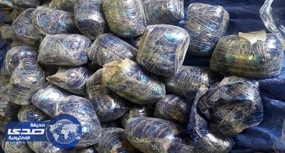 إحباط تهريب 383 ألف حبة كبتاجون في ضباء