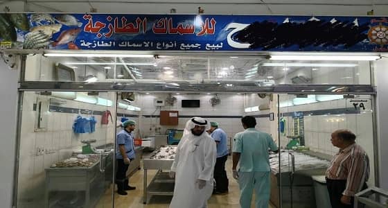 بالصور.. ضبط 280 كيلو سمك فاسد في مكة