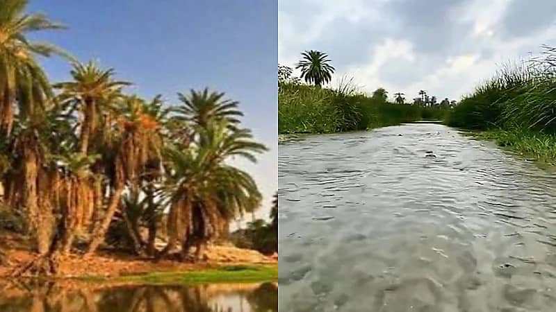 مواطن يدفع حياته ثمنًا لإنقاذ والد صديقه بالقنفذة