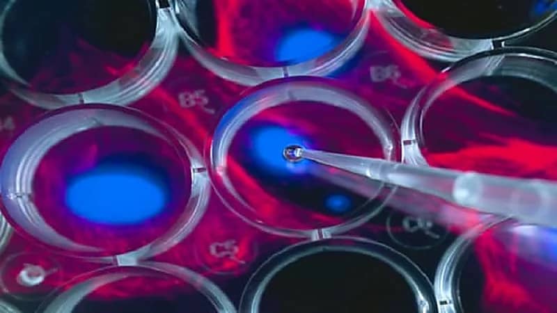 ابتكار "أنف كهربائي" تحدد المصابين بالسرطان في 20 دقيقة